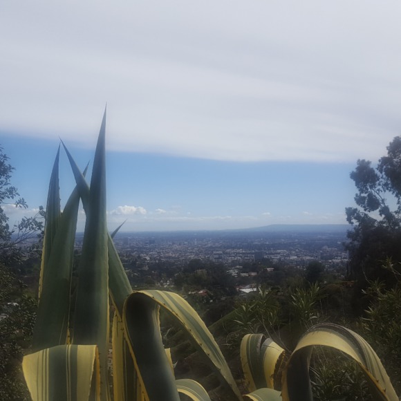 Meet your Posher, Sandra - Picture 1 of 1